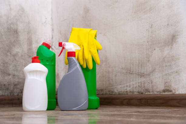 Best Mold Odor Removal Services  in Concord, AL